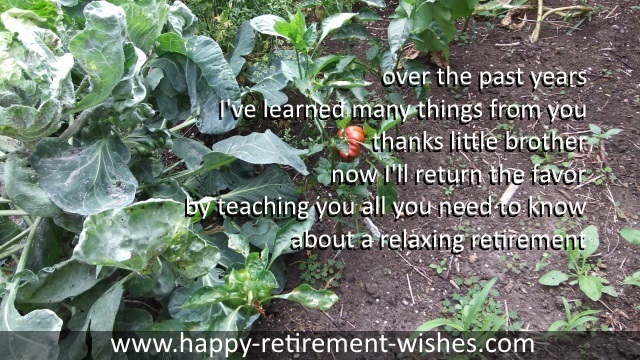 retirement sayings step brother